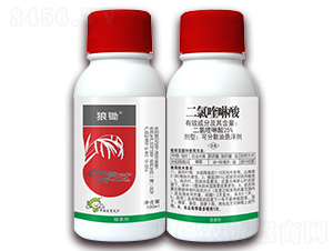 25%���������-���z-�S�՘�