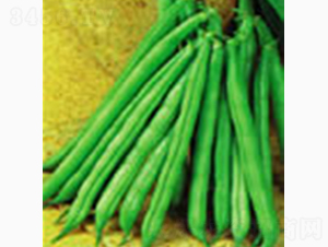 �����ϻ��Ͷ���-�Rɽ�N�I(y��)