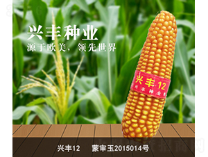 �d�S12-���׷N��-�d�S�N�I