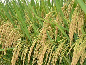 �5105-�s������-���A�N�I