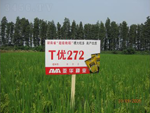 T��272-�s������-���A�N�I