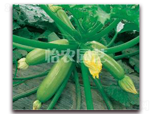 ����-�����J�N��-���r�@ˇ