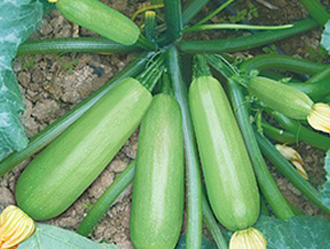 �����J�N��-��ϲ�r�I