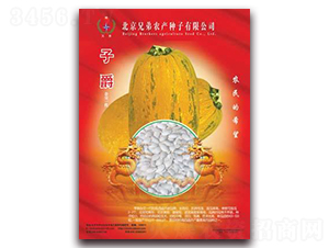 �Ӿ�-���������J�N��-�ֵ�