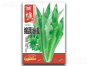 �d������-�����˷N��-�d�߷N�I(y��)