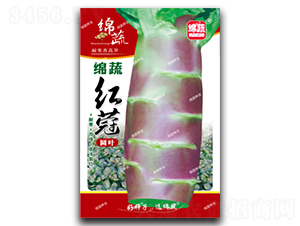 �d�߼t�F-�n�S�N��-�d�߷N�I