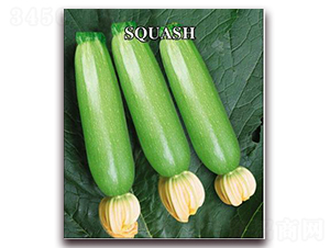 �Rʢ-�����J�N��-����r�I