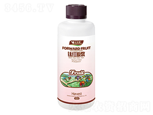 ⁼tԭ�{-�S�A��-�S�A�ʘI