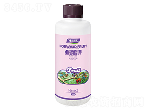 �������-�S�A��-�S�A�ʘI