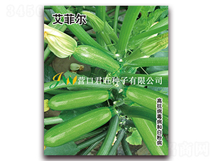 ���Ơ�-�����J�N��-�I�ھ���