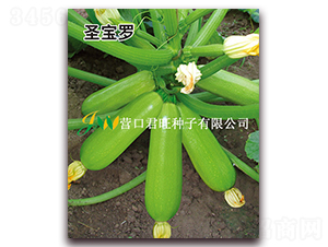 ʥ���_-�����J�N��-�I�ھ���