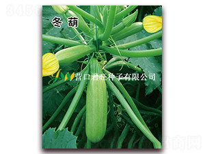 ����-�����J�N��-�I�ھ���