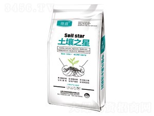 ����֮��-�^ʢ