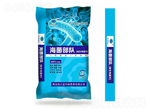 ΢�������-�������-��֮�{(l��n)