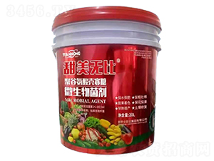 ΢�������-�����o��-���rʿ�r�I