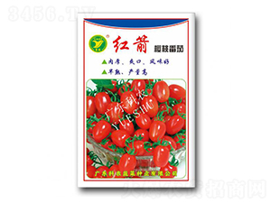 �t�����ҷ���-���ѷN��-���r