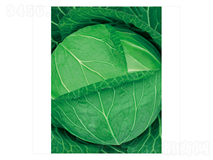 ׷��-���{�N��-����