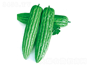 ��׿��̖-��ϷN��-����