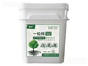 ��䌣�þ�ጷ���-һ����-�i������