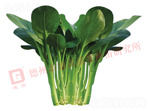 �¸���̦-��޷�N��-�¸�