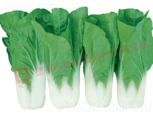 ���Z��2̖-�׹��˷N��-�¸�