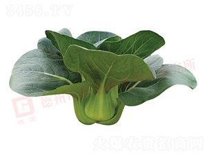 �¸�1226-�๣�˷N��-�¸�