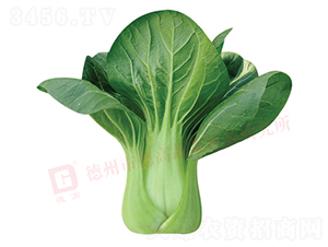 �¸�578-�๣�˷N��-�¸�