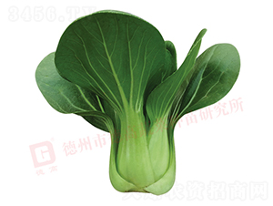 ���_������-�¸�489-�๣�˷N��-�¸�