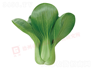 ���_������-�¸�328-�๣�˷N��-�¸�