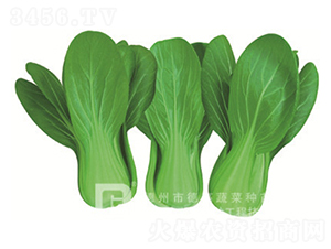 ����7̖(h��o)-�๣�˷N��-�¸�