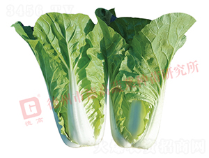 �¸�2142-��˷N��-�¸�