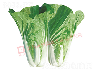 �¸�1826-��˷N��-�¸�