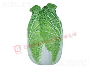 �����[���ײ�-CR1028-��ײ˷N��-�¸�