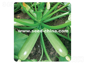 ����-�����J�N��-���·N�I