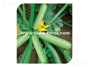 ِ��-�����J�N��-���·N�I