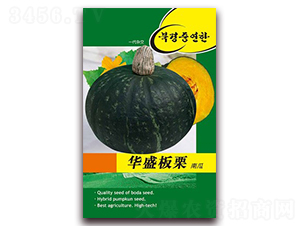 �Aʢ�����Ϲ�-�ϹϷN��-�β���