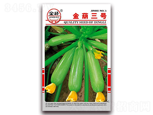 �����̖-�����J�N��-���N�I