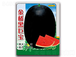 ���ھތ�-���ϷN��-���N�I