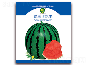 �������o�S-���ϷN��-����N�I