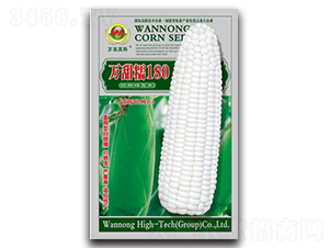 �f��Ŵ180-Ŵ���׷N��-�f�r�߿�