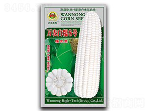 �f�r��Ŵ8̖-Ŵ���׷N��-�f�r�߿�