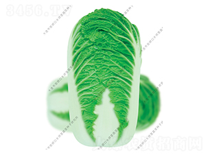 �¿��108-�ײ˷N��-ˮ���I