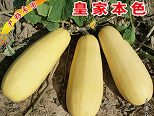 �ʼұ�ɫ-�����J�N��-�x���