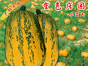 ��ɫ�f�@-�����J�N��-�x���