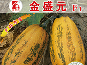 ��ʢԪ-�����J�N��-�x���