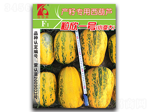 ����һ̖-�����J�N��-�x���