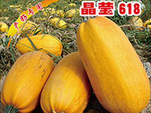 ����618-�����J�N��-�x���