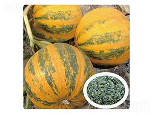 �ι�һ̖-�����J�N��-��̩�_