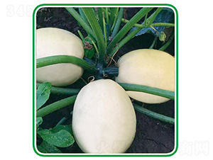 ̩�Sʮ̖-�����J�N��-��̩�_