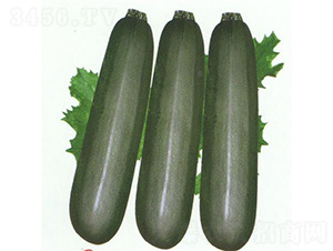 ī�������J-�����J�N��-��̩�_